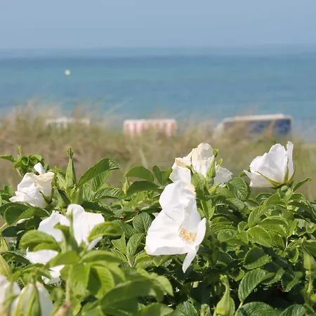 Reihenferienhaus Mit Kamin Und Terrasse Im Ostseeland Ofc 11 * Gerdshagen